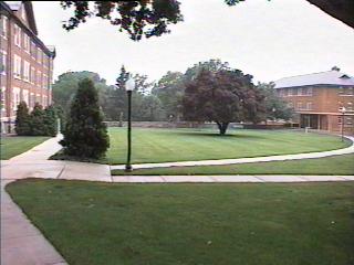 pict202.jpg (15520 bytes)