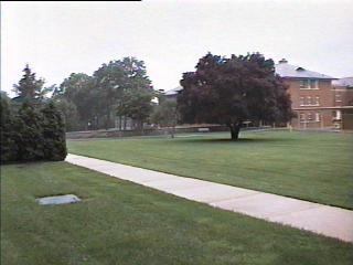 pict203.jpg (12826 bytes)