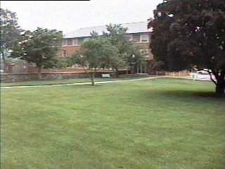 pict205.jpg (15476 bytes)