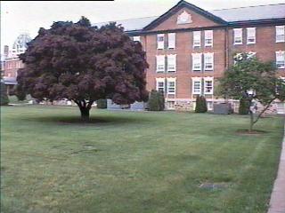 pict208.jpg (16501 bytes)