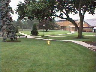 pict214.jpg (19237 bytes)