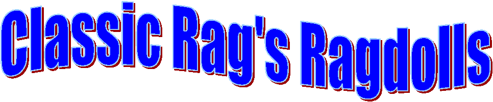 Classic Rag's Ragdolls 