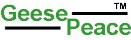 geespeace1.jpg (5974 bytes)