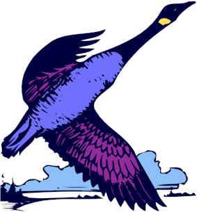 purplegoose.jpg (24817 bytes)