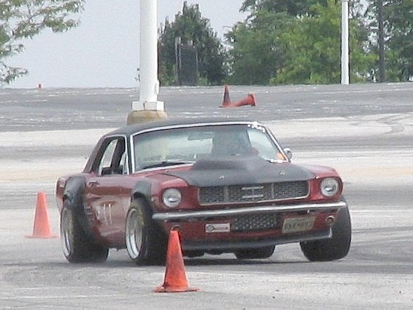 Poto by Jason Willett URL: http://www.jasondidit.com/