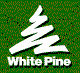 whitepine.gif (2061 bytes)