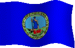 VA3DFlag