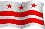 DC3DFlag