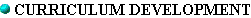 curricu1.gif (1383 bytes)