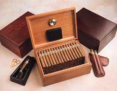 CSGA Stogy Signature - Tio Pepe