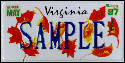 VA license plate