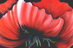 29_red_poppy_ii