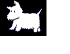 boo boo dog