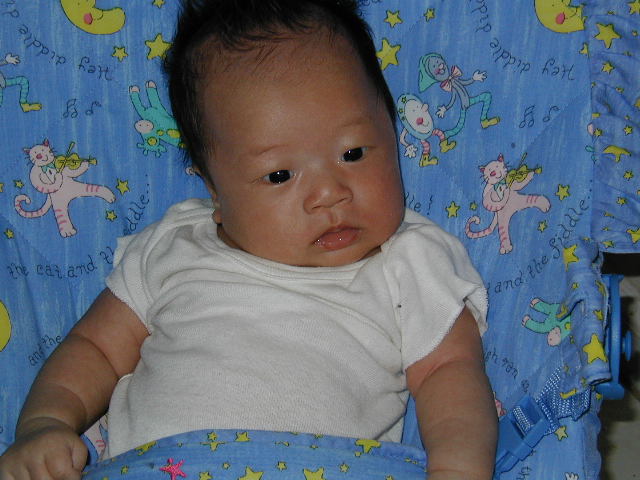 <b>Michael Thomas Edward</b> Mashima Born May 23, 2002 2:43pm 7 lbs. 10 oz. - JunePics38