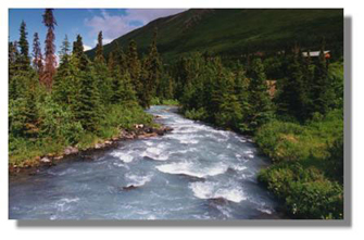 ALASKA~2