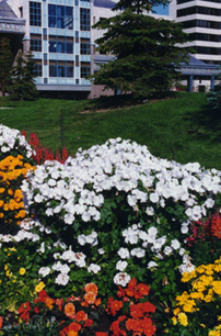 ALASKA~5