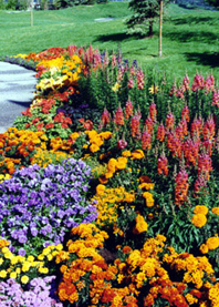ALASKA~7