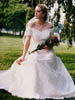 wedd1