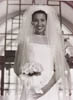 wedd3