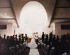 wedd8