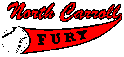 Description: fury_logo_t