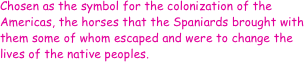 Chosen as the symbol for the colonization of the Americas, the horses that the Spaniards brought with them some of whom escaped and were to change the lives of the native peoples.