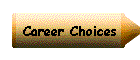 Career Choices