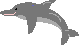 Dolphin.GIF (302 bytes)