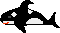 Killerwhale.GIF (233 bytes)