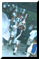 goosecup.gif (39510 bytes)