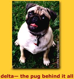 delta the pug behind it all