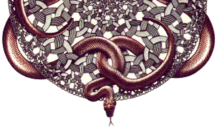 escher snakes