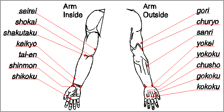 Arm Pressure Points Chart