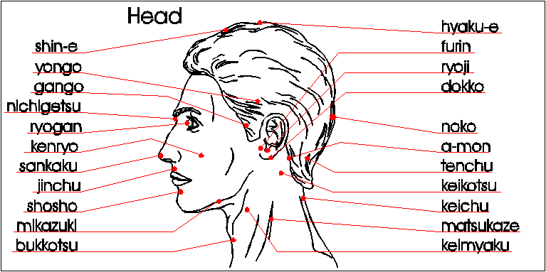 Head Pressure Points Chart