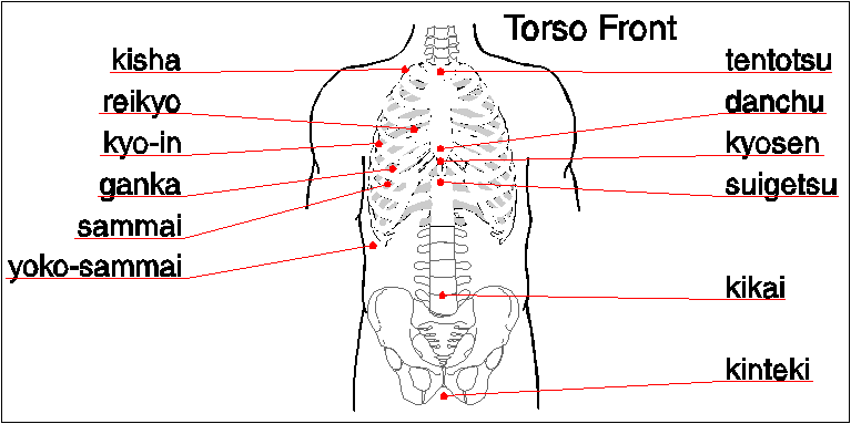 Pressure Points Back